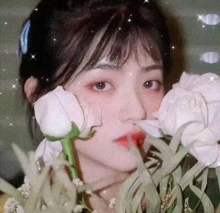 明星大侦探第五季
