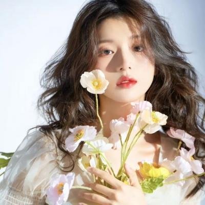 施公奇案2粤语